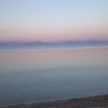 Lithino Apartments - 5Min From The Beach Agios Ioannis Peristerion Екстериор снимка