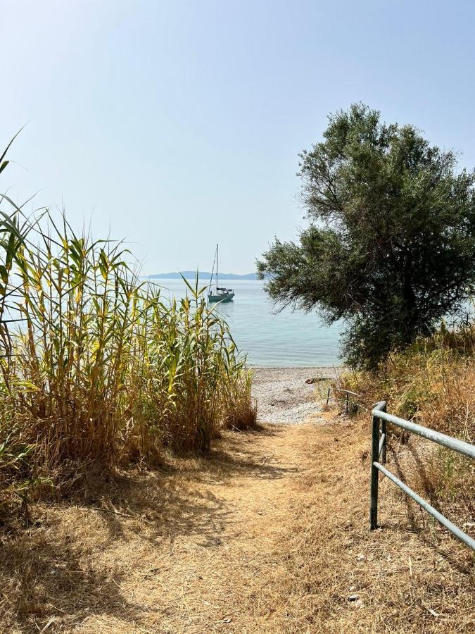 Lithino Apartments - 5Min From The Beach Agios Ioannis Peristerion Екстериор снимка