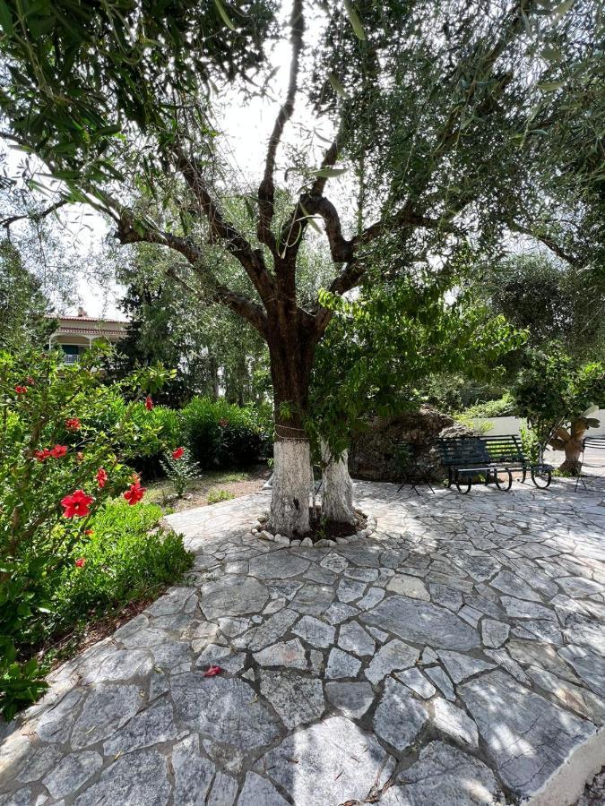 Lithino Apartments - 5Min From The Beach Agios Ioannis Peristerion Екстериор снимка