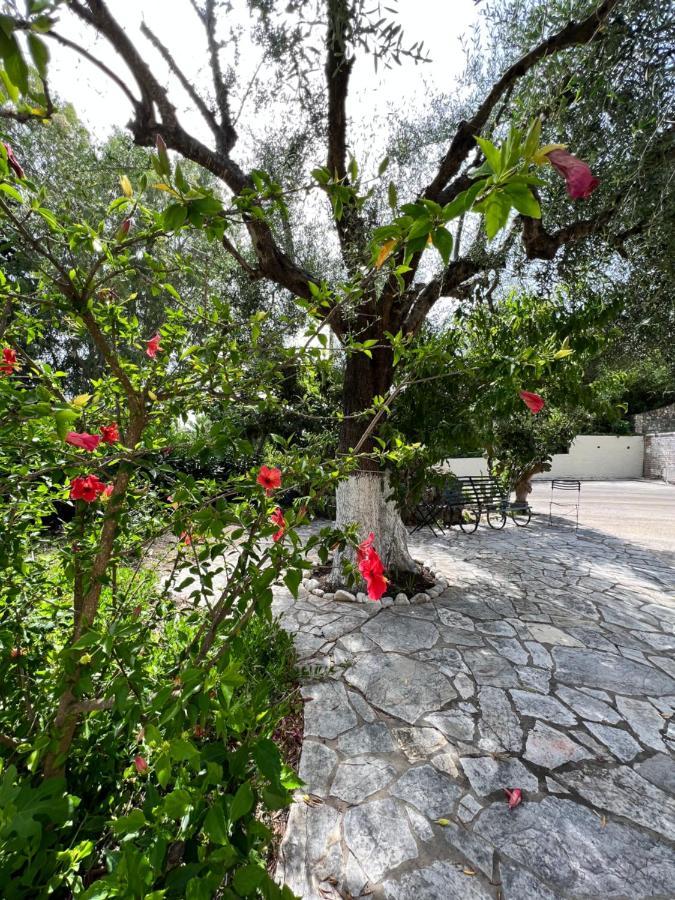 Lithino Apartments - 5Min From The Beach Agios Ioannis Peristerion Екстериор снимка